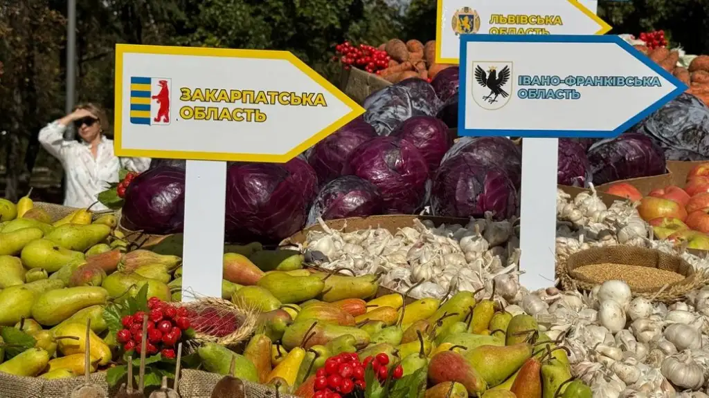 У Кропивницькому встановили рекордну карту України з плодів нового врожаю