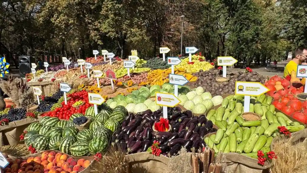 У Кропивницькому встановили рекордну карту України з плодів нового врожаю