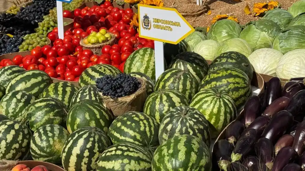 У Кропивницькому встановили рекордну карту України з плодів нового врожаю