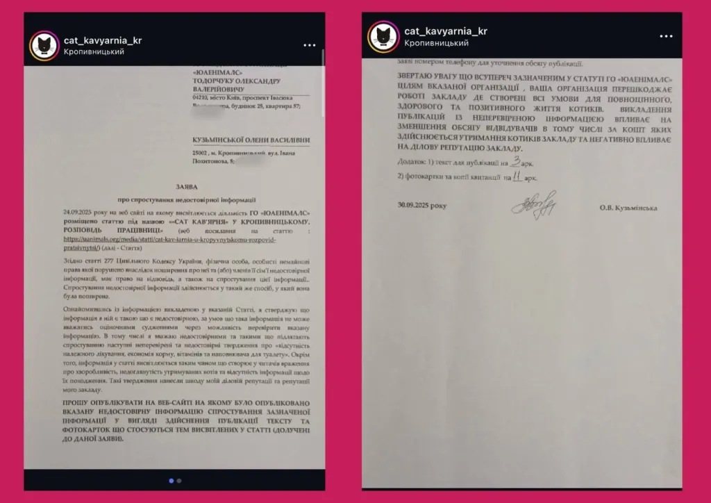 Скандал навколо «Cat кав’ярні» у Кропивницькому: поліція перевіряє умови для тварин