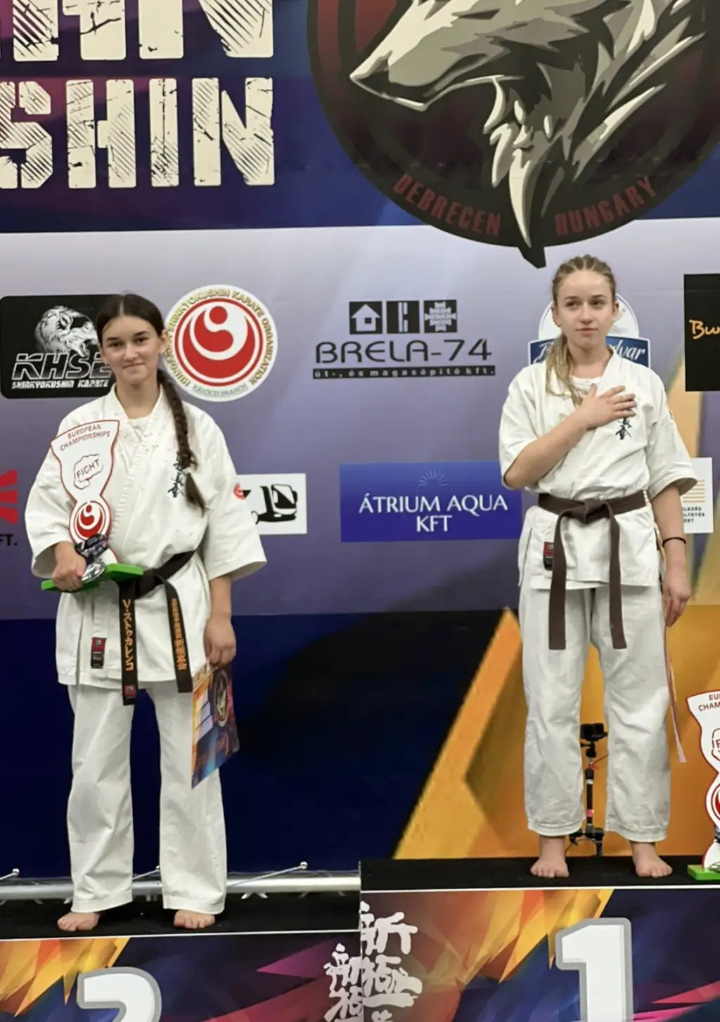 Кропивницькі юніори здобули медалі на чемпіонаті Європи з кіокушинкай карате