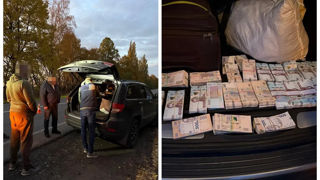 Схема незаконної вирубки дубів охопила шість областей, серед них – Кіровоградську