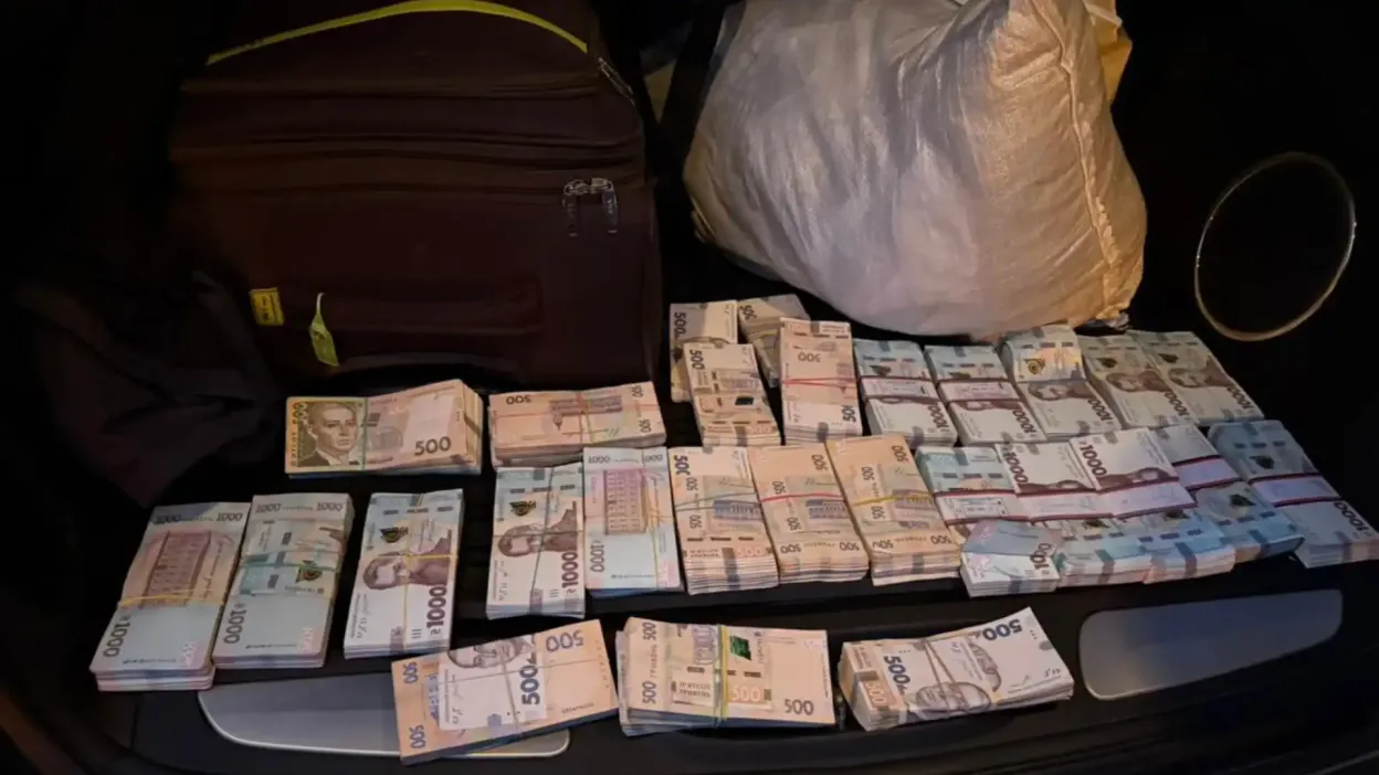 На Кіровоградщині викрили масштабну схему незаконної вирубки дубів у шести областях