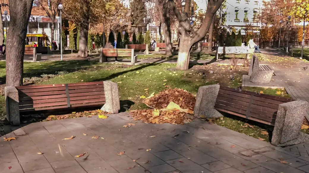 У Кропивницькому встановили винуватця пошкодження лавок у сквері “Центральний”
