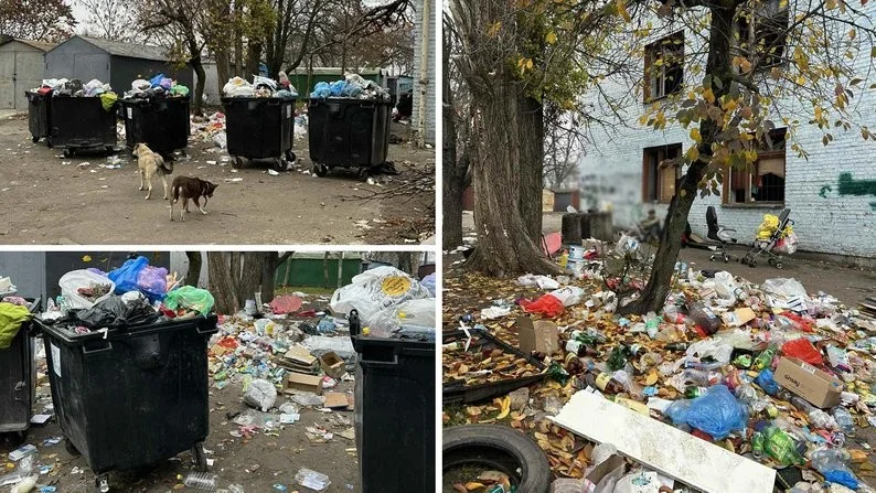 Сміття на гіллі й конфлікти у дворі: мешканці Полтавської, 24 вимагають повернути контейнери
