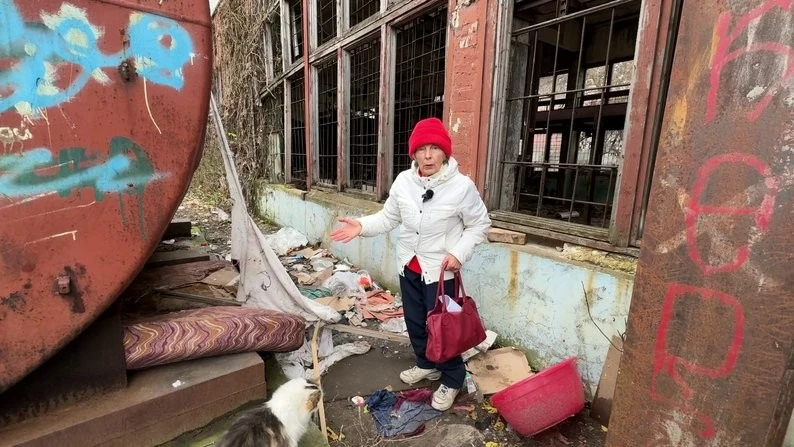 Сміття на гіллі й конфлікти у дворі: мешканці Полтавської, 24 вимагають повернути контейнери