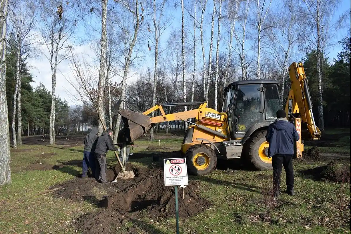 У Кропивницькому продовжують масштабне озеленення: у Гаю десантників висадили нові дерева