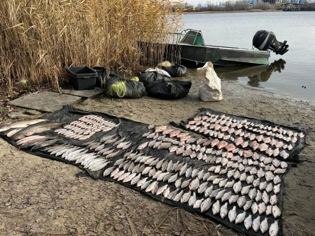 На Кам’янському водосховищі затримали агресивних браконьєрів із 73 кг риби