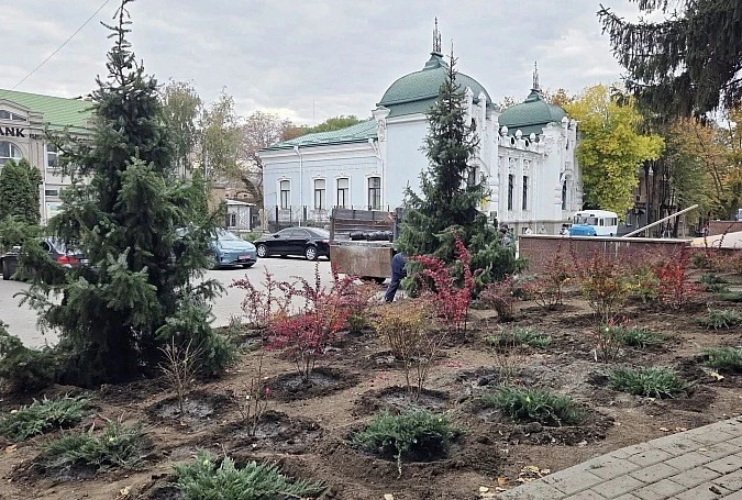 Зелені насадження для комфортного перебування: у Кропивницькому покращили територію ЦНАП