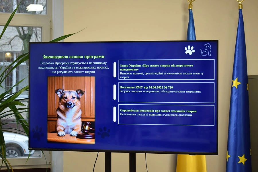 Місто робить ставку на гуманне рішення: у Кропивницькому запускають програму для безпритульних тварин