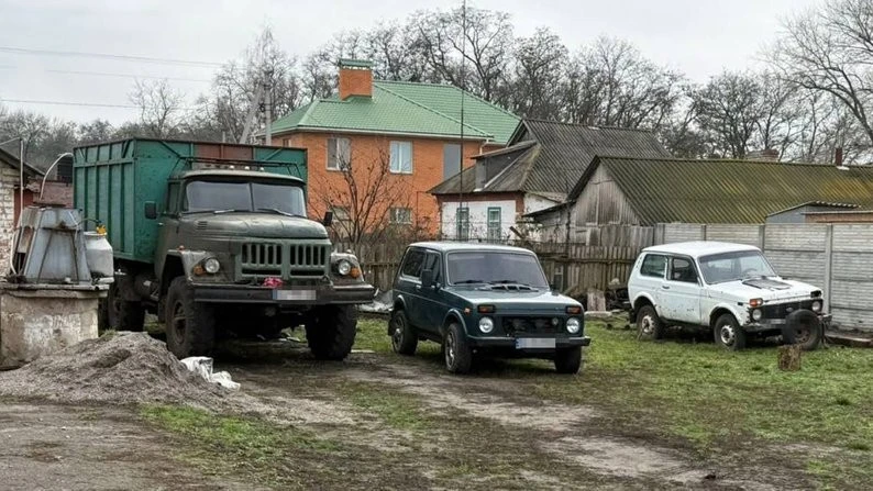 Незаконна вирубка на мільйони: на Кіровоградщині викрили групу з трьох осіб