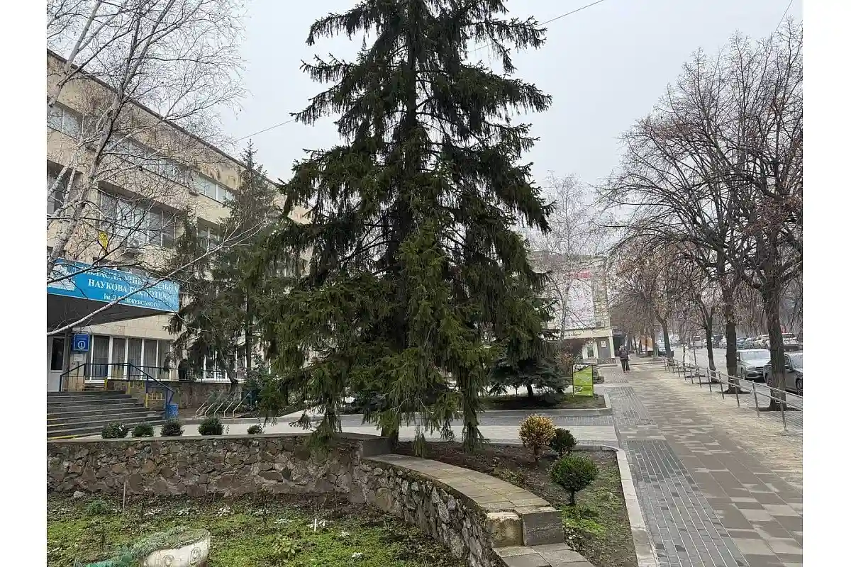 Бібліотека Чижевського стає частиною безбар’єрного центру Кропивницького