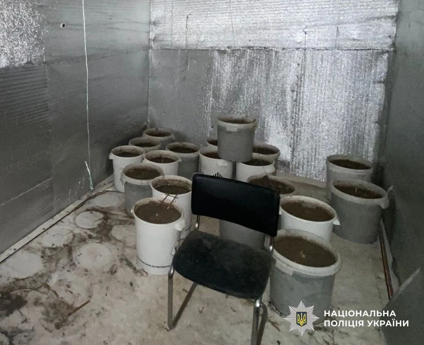 Сім кілограмів за парканом: на Кіровоградщині викрили незаконне зберігання наркотиків