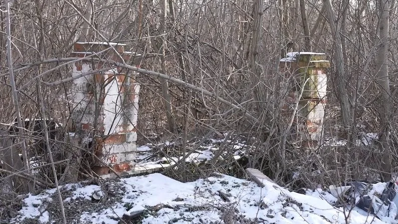Кривавий слід Голокосту на Кіровоградщині: де нацисти чинили масові страти