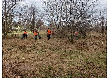 Селище Нове стає чистішим: результати весняної толоки 3 квітня
