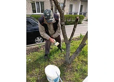 Громада в дії: як мешканці кропивницького гуртожитку перетворили прилеглу територію