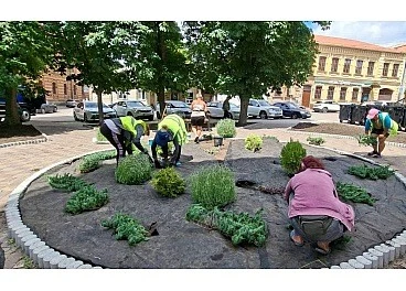 Оновлений ландшафтний дизайн у центрі Кропивницького