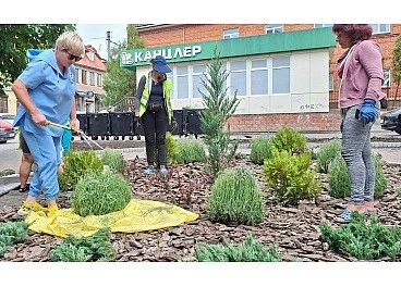 Оновлений ландшафтний дизайн у центрі Кропивницького