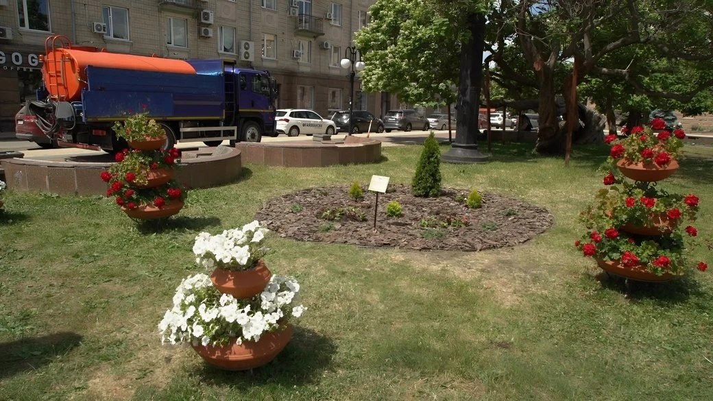 “Клумба сімейної сили”: у Кропивницькому висадили нову рослинну композицію до Дня батька